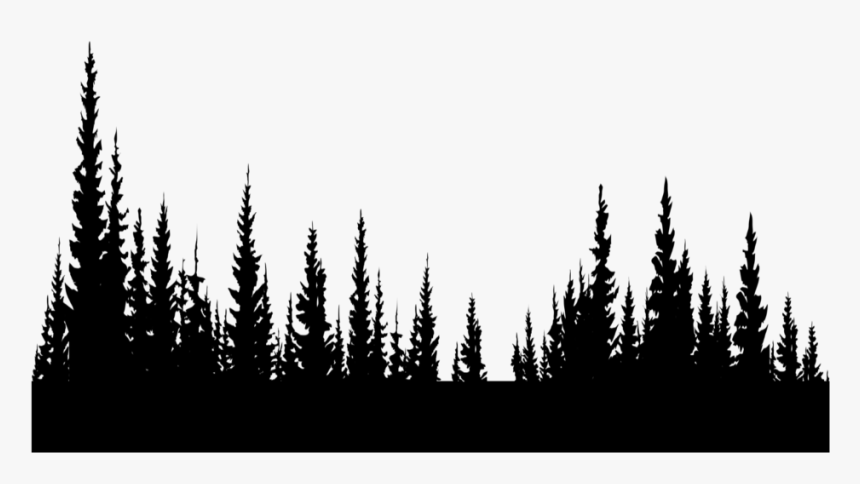 #freetoedit #trees #silhouette #black #forest #inthedistance - Shortleaf Black Spruce, HD Png Download