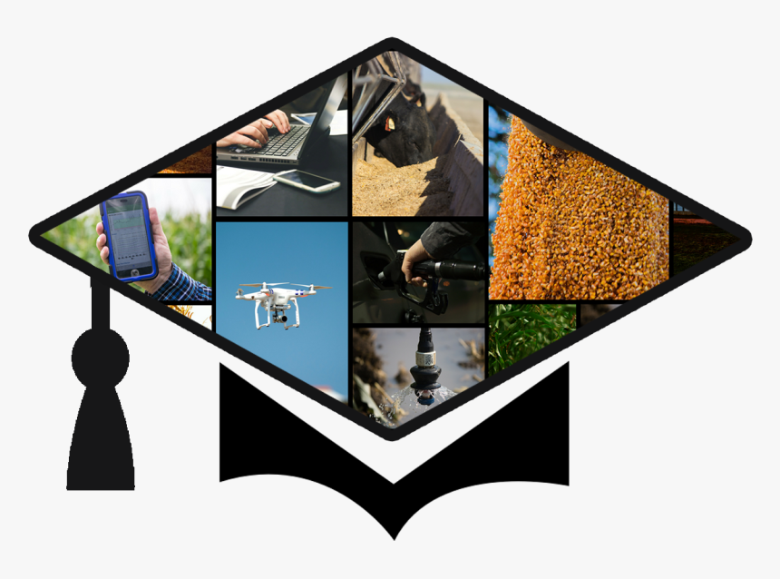 Skateboarding, HD Png Download