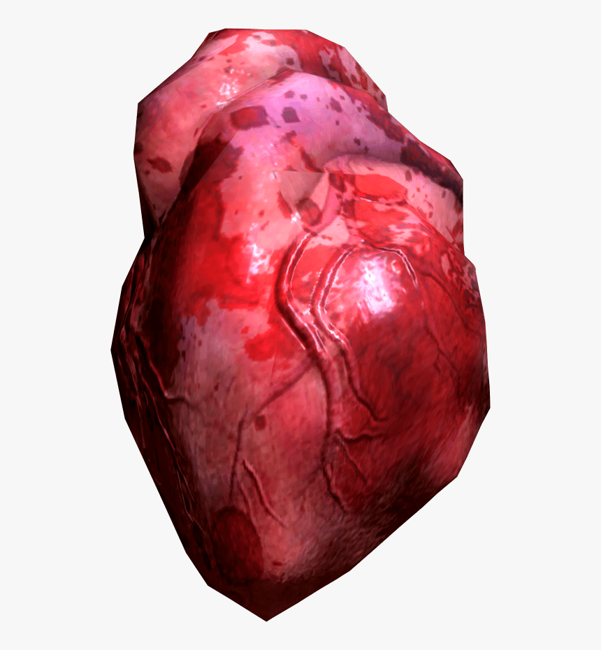 Real Human Hearts Png, Transparent Png
