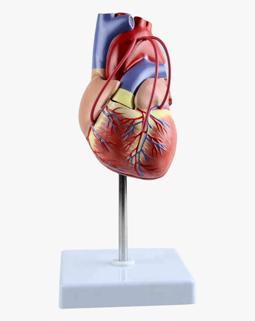 Sculpture, HD Png Download