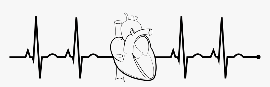 Ekg Realistic Heart Clip Arts - Ekg Clip Art, HD Png Download