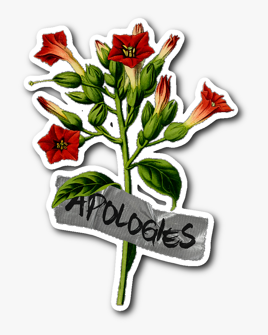 Duct Tape Sticker - Tobacco Plant Clipart, HD Png Download