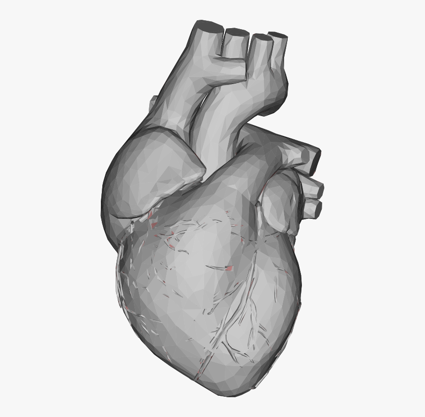 Sketch, HD Png Download