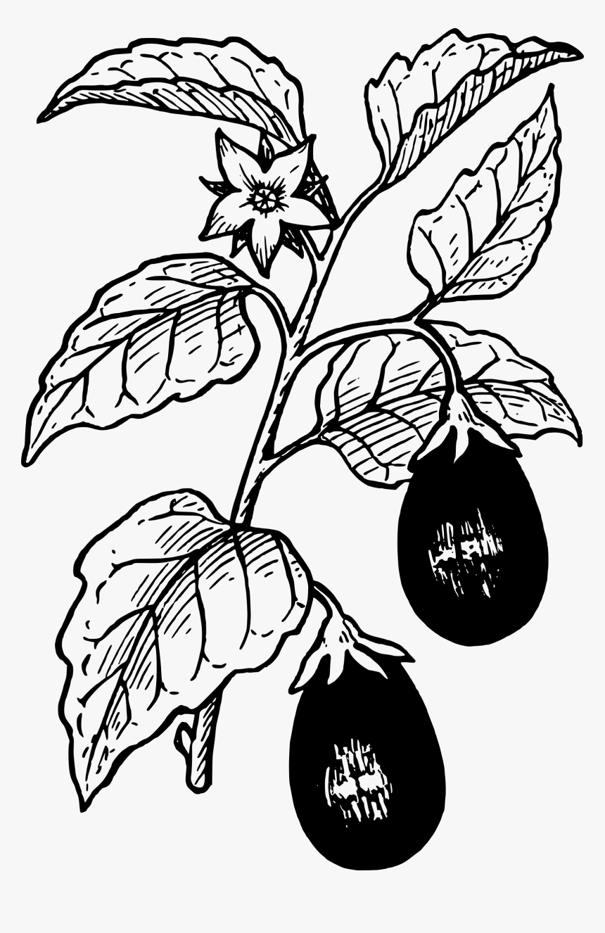 Eggplant Clip Arts - Eggplant Clip Art, HD Png Download