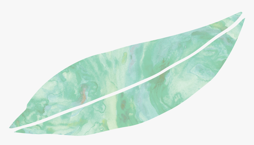 Transparent Dying Plant Clipart - Tree, HD Png Download