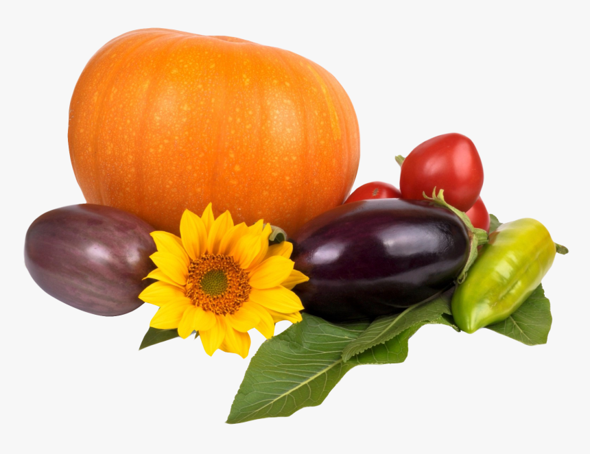 Pumpkin, HD Png Download