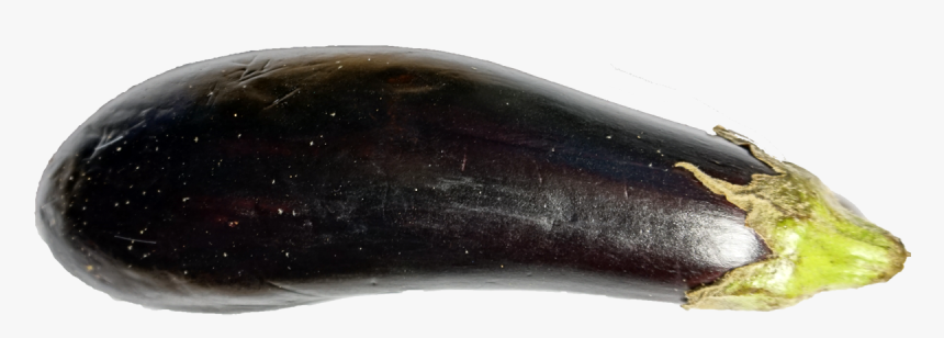 Eggplant 2 - Fender, HD Png Download