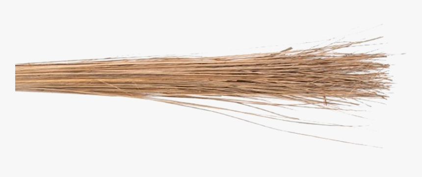 Coconut Broom Transparent Images - Plywood, HD Png Download