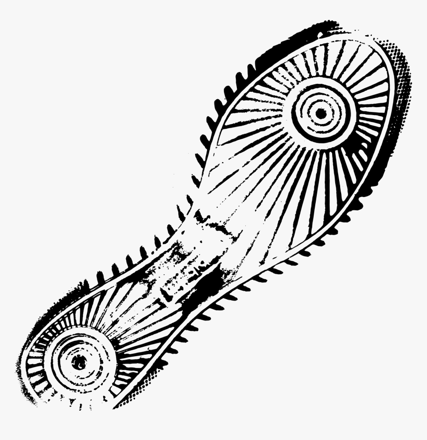 Shoe, HD Png Download