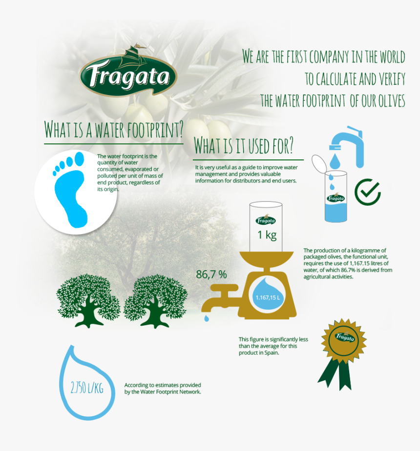 Graphic Design, HD Png Download