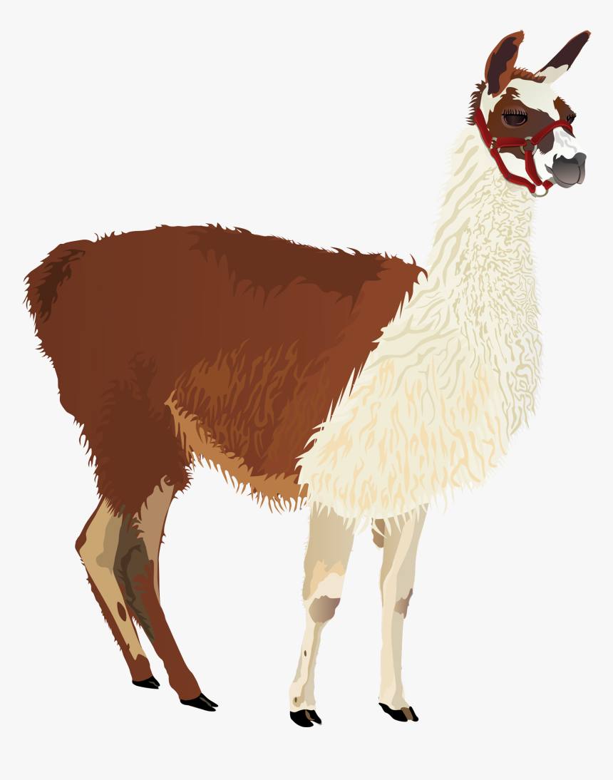 Llama Clip Art - Llamas Animal En Png, Transparent Png