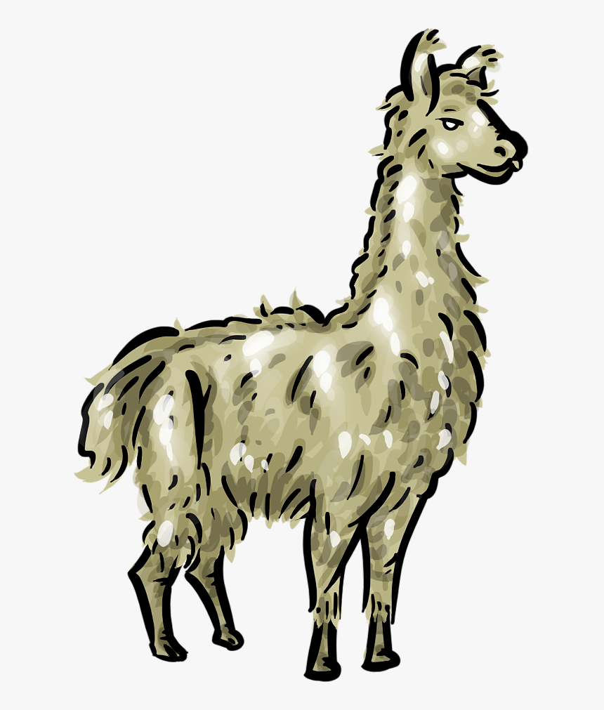 Free Llama 1 Page Of Public Domain Clipart - Transparent Llama Clipart, HD Png Download