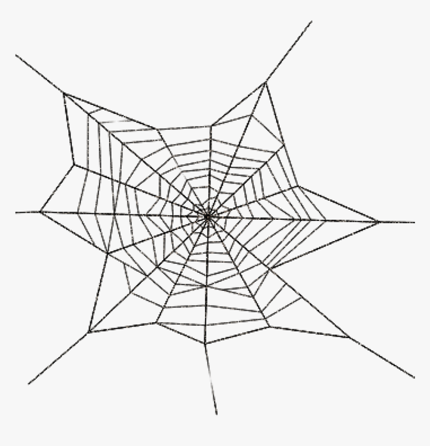 Spider Web Png Bear Clipart Hatenylo - Spider Web Transparent Png, Png Download