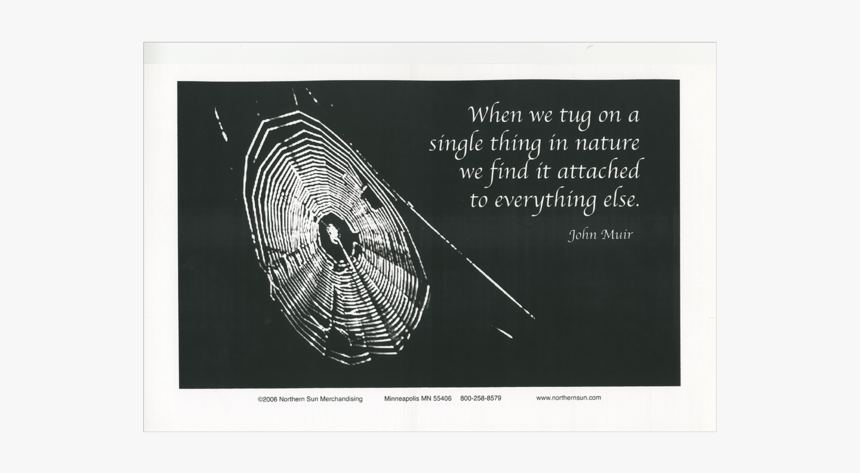 John Muir Poster - John Muir Love Quotes, HD Png Download