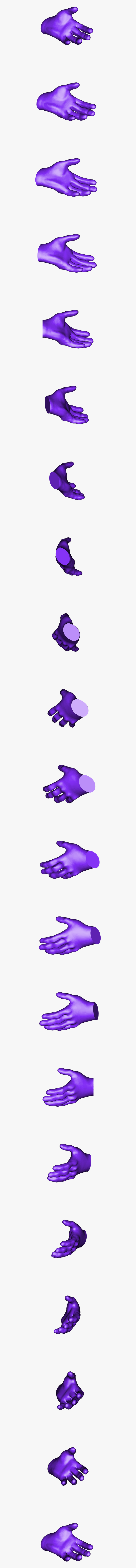 Lilac, HD Png Download