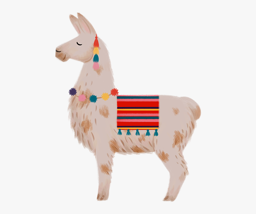 Llama, HD Png Download