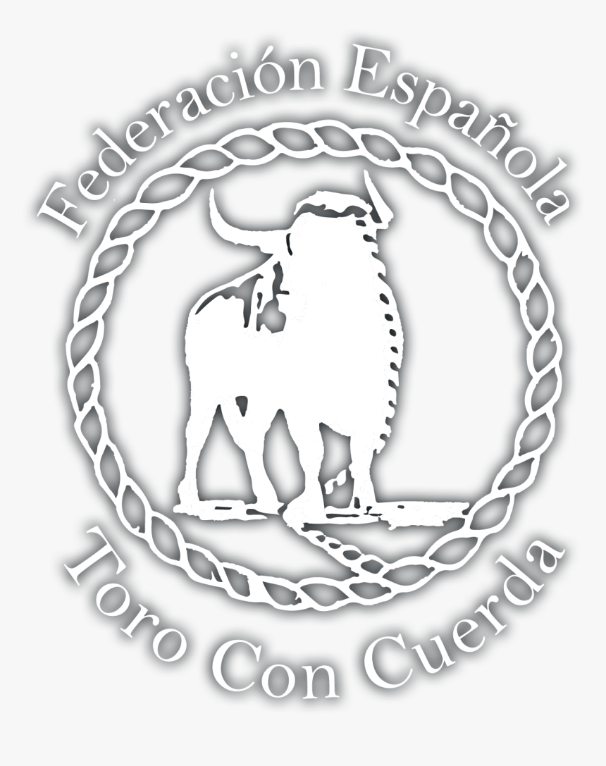 Llama , Png Download - Stallion, Transparent Png