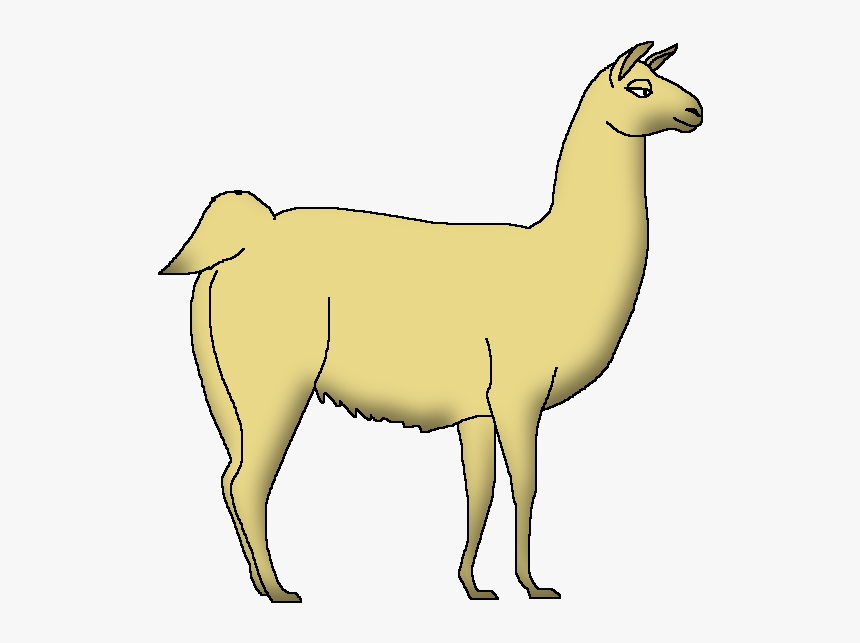 Wildlife Animal Pedia Wiki - Llama, HD Png Download