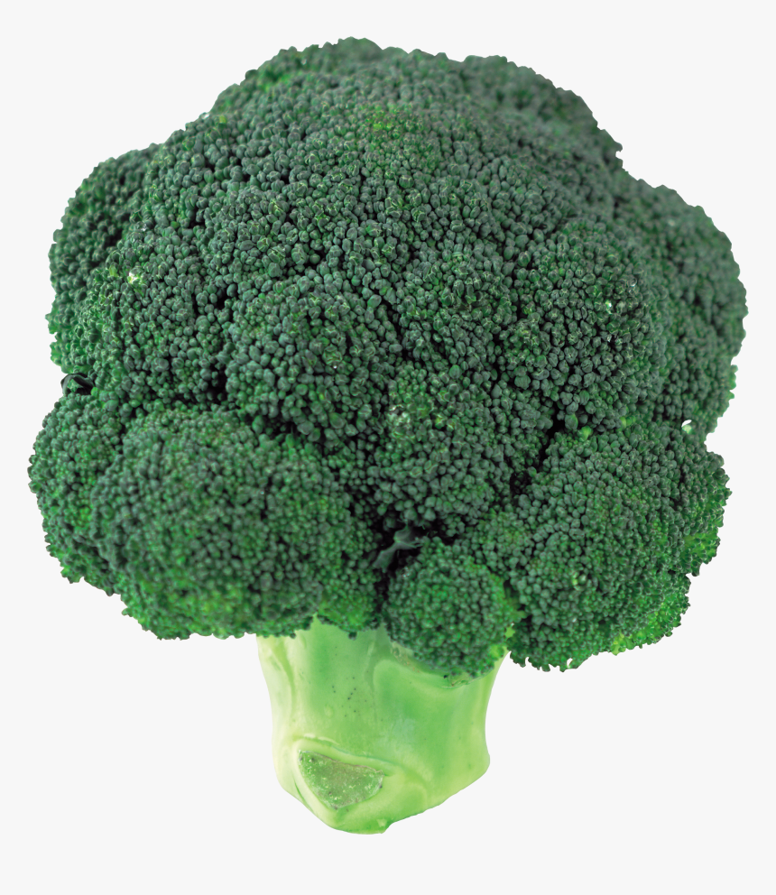 Broccoli Png, Transparent Png