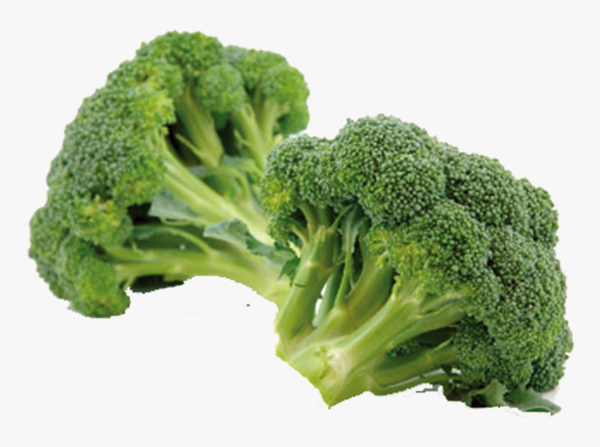 Broccoli Eating Vegetable Sulforaphane Chinese Cabbage - Information Of Broccoli, HD Png Download