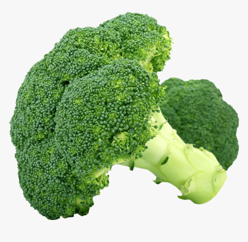 Broccoli Vegetable Steaming Fruit - Flower Vegetables Examples, HD Png Download