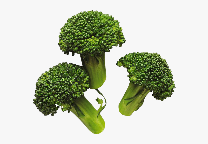 Download Broccoli Png Image For Designing Projects - Cooked Broccoli Png, Transparent Png