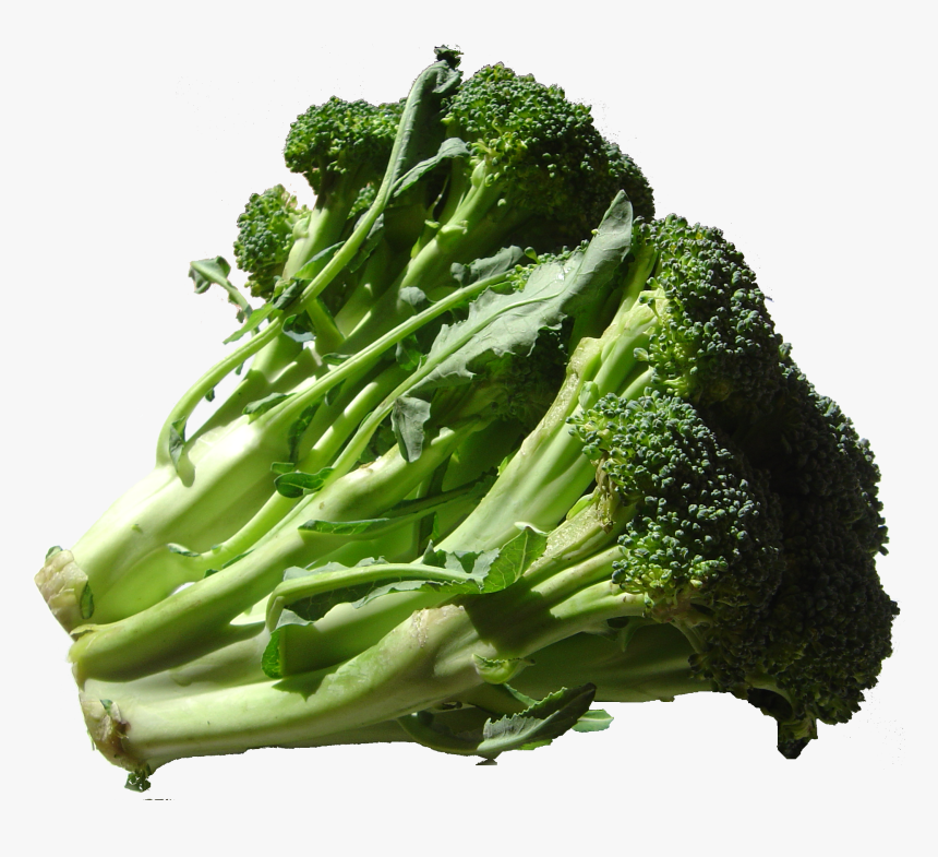 Broccoli Rabe Transparent, HD Png Download