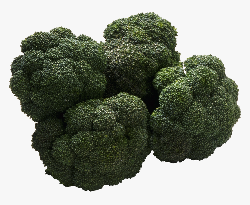 Broccoli Png Images Download - Bitter Taste Food Clipart, Transparent Png