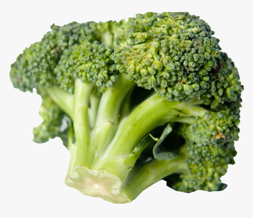 Italica Group, HD Png Download