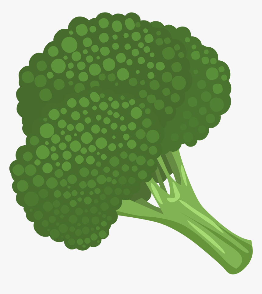 Broccoli Clipart Transparent Background, HD Png Download