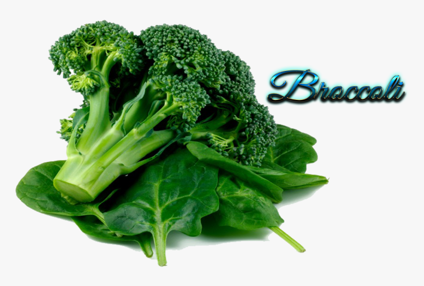 Transparent Broccoli Png - Broccoli Spinach Png, Png Download