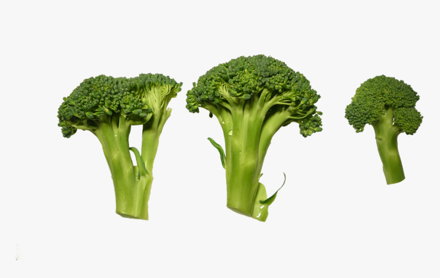 Broccoli, Clippings, Vegetables - Verduras Png, Transparent Png