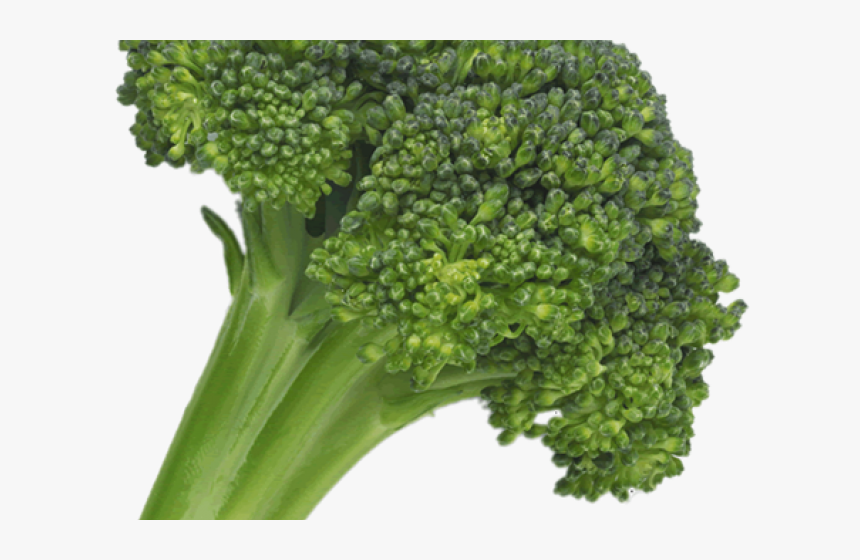 Broccoli Png Transparent Images - Hyperdimension Neptunia Broccoli Ripoff, Png Download