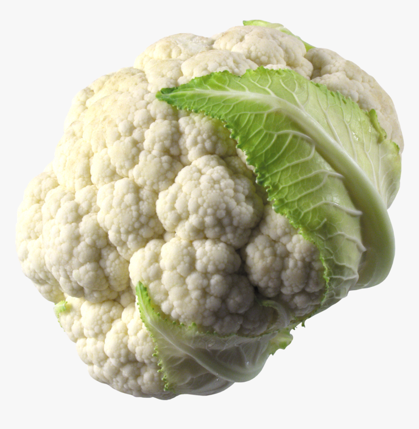 Broccoli Png Transparent Images - قرنبيط Png, Png Download