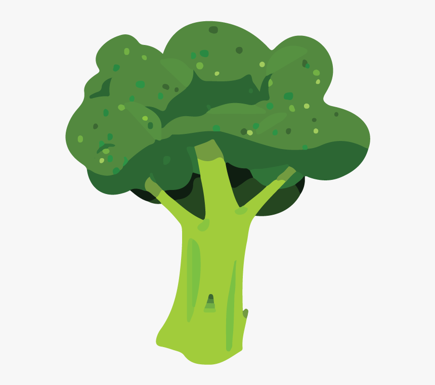 Broccoli, Cost-effective Health Foods - Illustration, HD Png Download