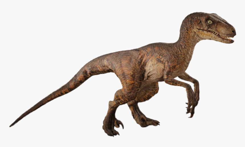 Dinosaur,animal Figure,terrestrial - Jurassic Park Velociraptor Png, Transparent Png
