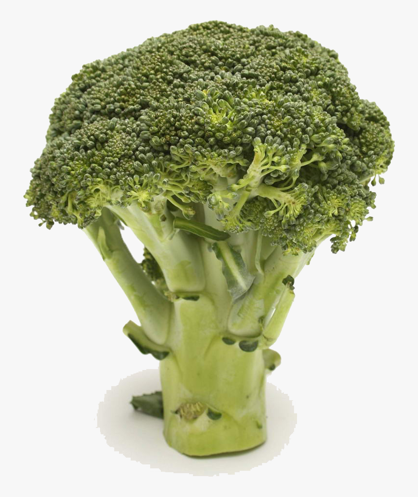 Broccoli Vegetable Food Health Cauliflower - Hiding Broccoli In Milk, HD Png Download