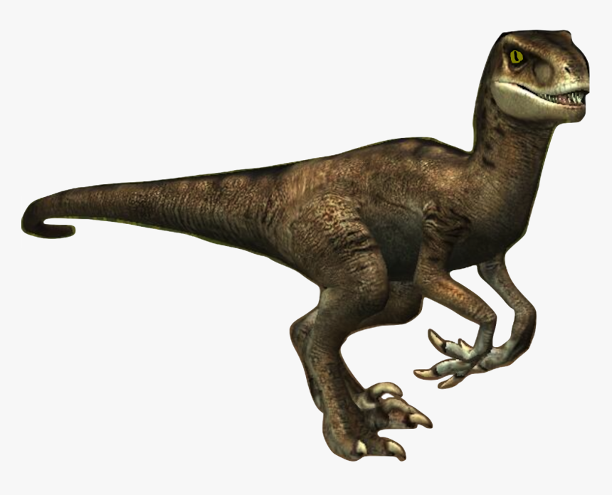 Donna The Velociraptor - Velociraptor Transparent, HD Png Download