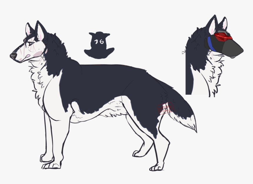 Picture - Dog Catches Something, HD Png Download