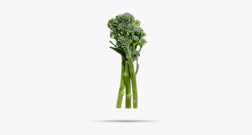 Broccoli, HD Png Download
