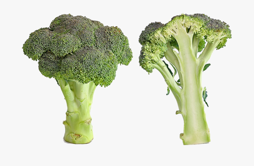 Green Broccoli Png Image File - Bad Broccoli, Transparent Png