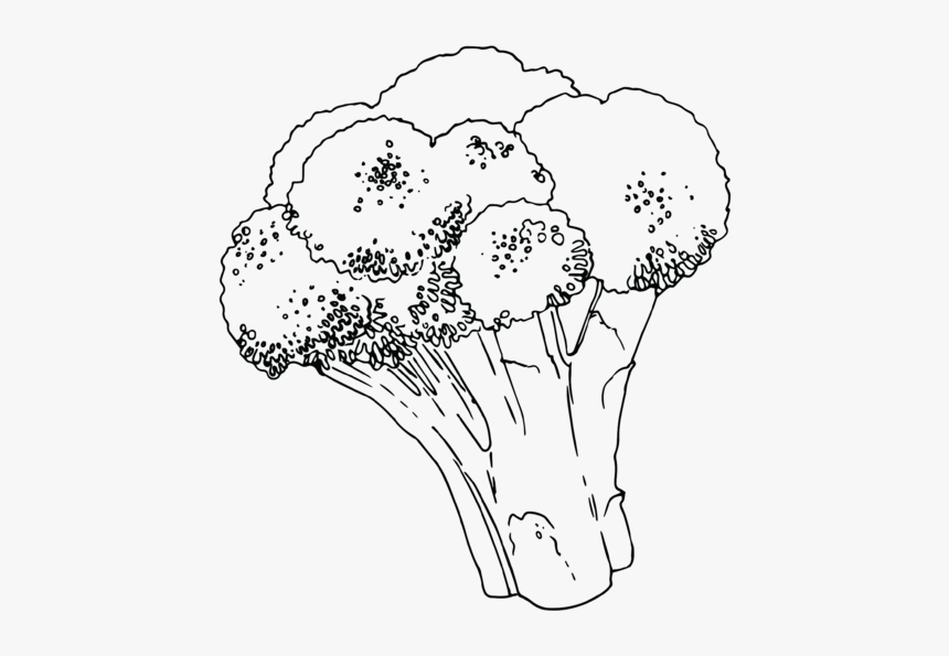 Sketch, HD Png Download