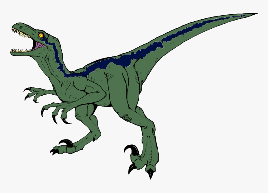 Blue The Raptor - Velociraptor Png Transparent Background, Png Download