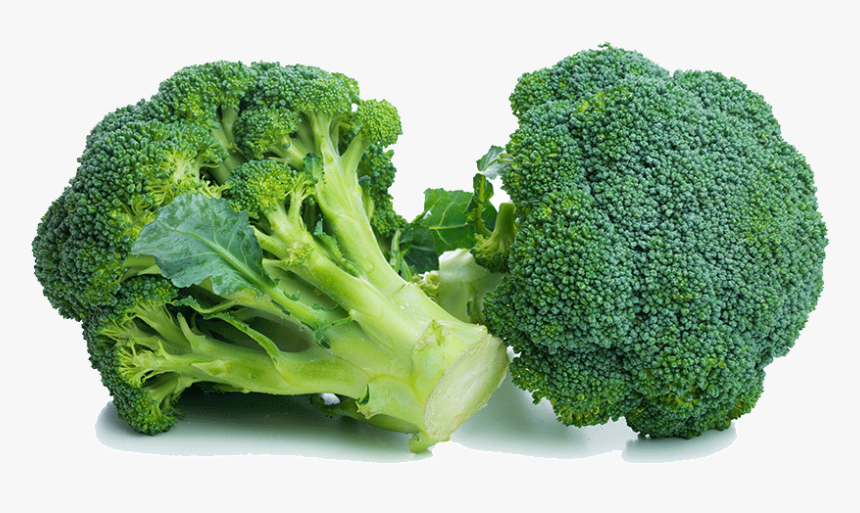 Broccoli Health Benefits, HD Png Download