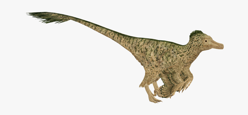Zt2 Velociraptor, HD Png Download