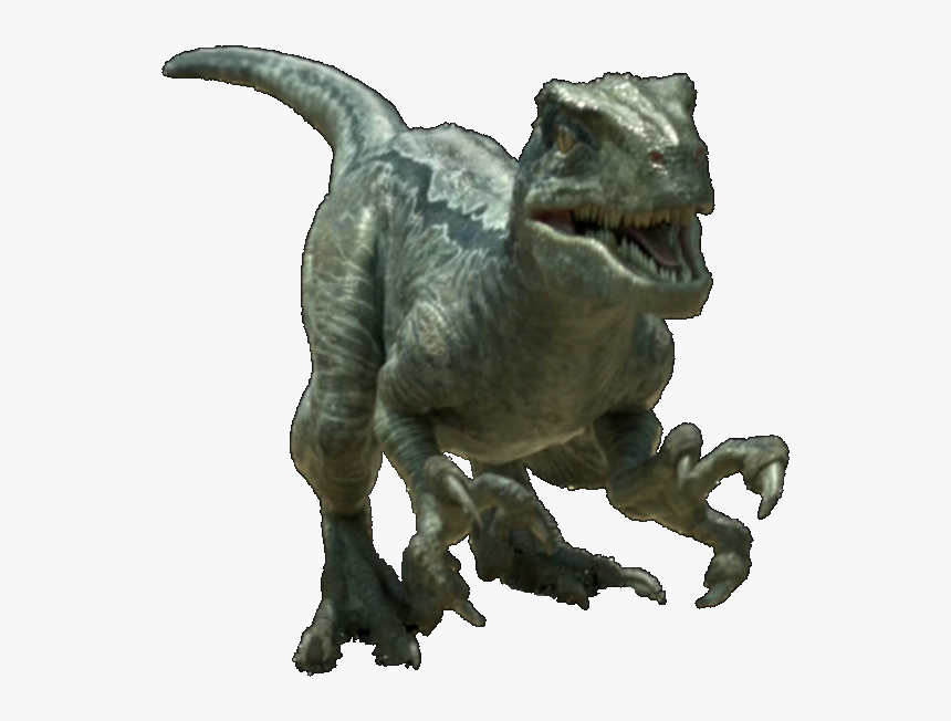 Jurassic World Velociraptor V4 By Sonichedgehog2-da9f2eg - Jurassic World Velociraptor Png, Transparent Png