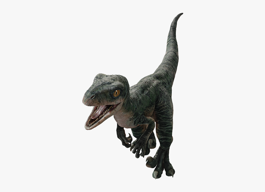 Jurassic World Baby Delta, HD Png Download