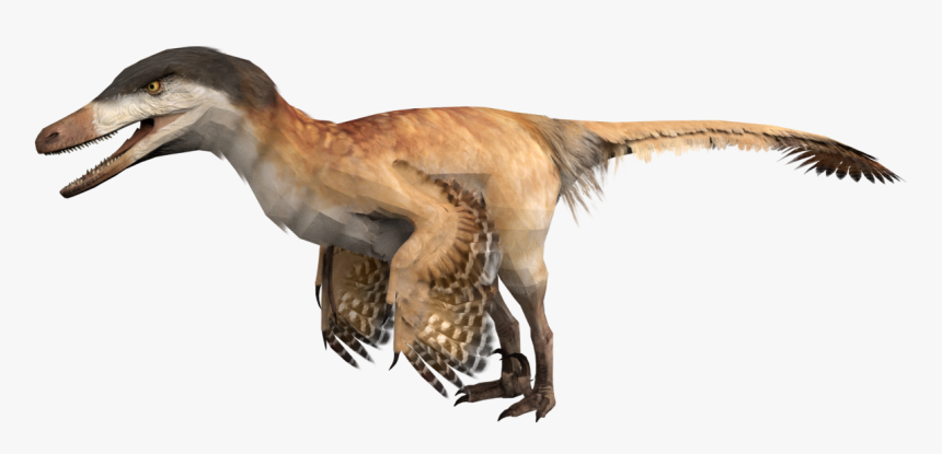 Velociraptoricon - Velociraptor, HD Png Download