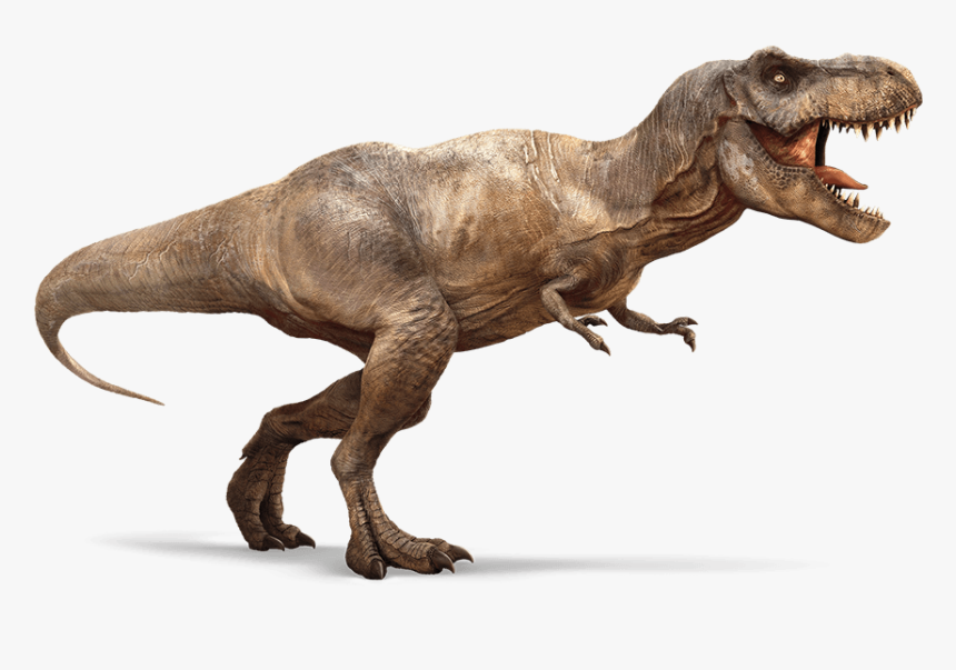 T Rex, HD Png Download