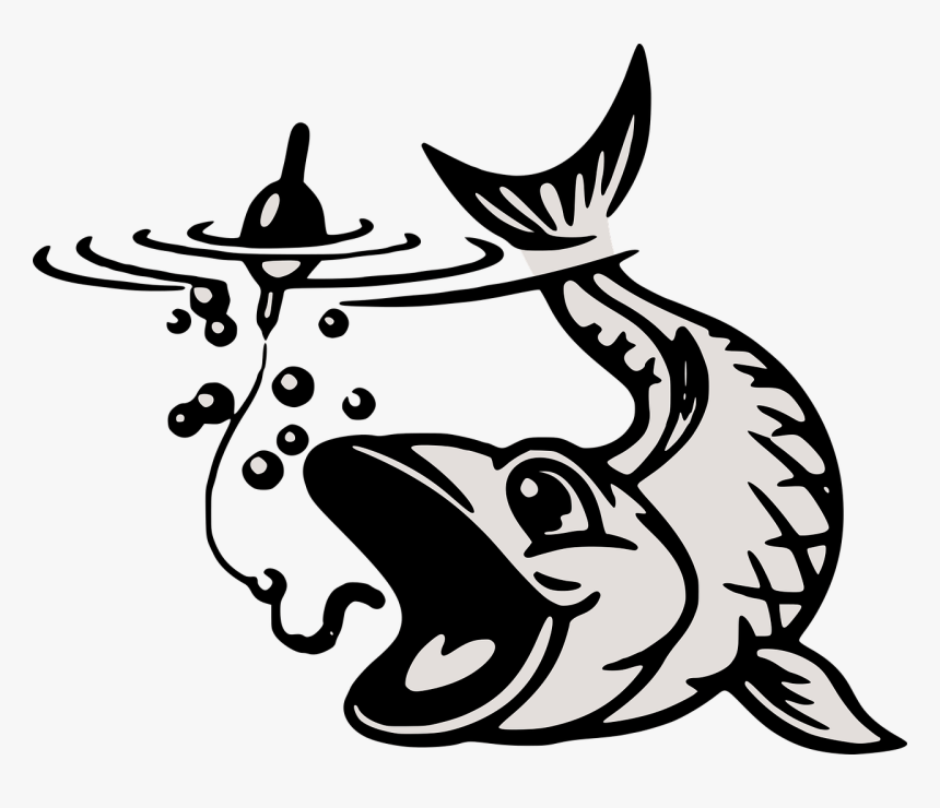 Hooked On Fishing Not On Drugs, HD Png Download